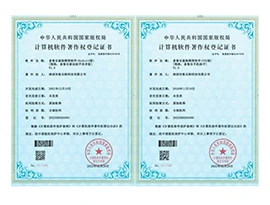 易售乐公司荣誉 9